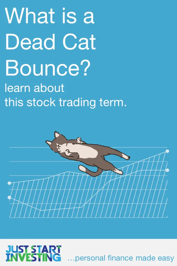 Dead Cat Bounce - Pinterest