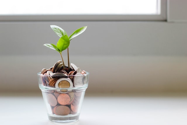 Difference between Roth TSP and Roth IRA 2 plant growing from a money pot