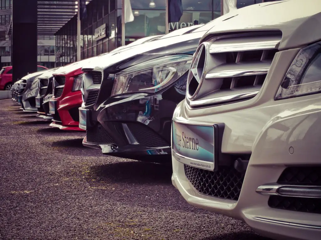 What Should Investors Know About Turo IPO Stocks? 2 What Should Investors Know About Turo IPO Stocks 1