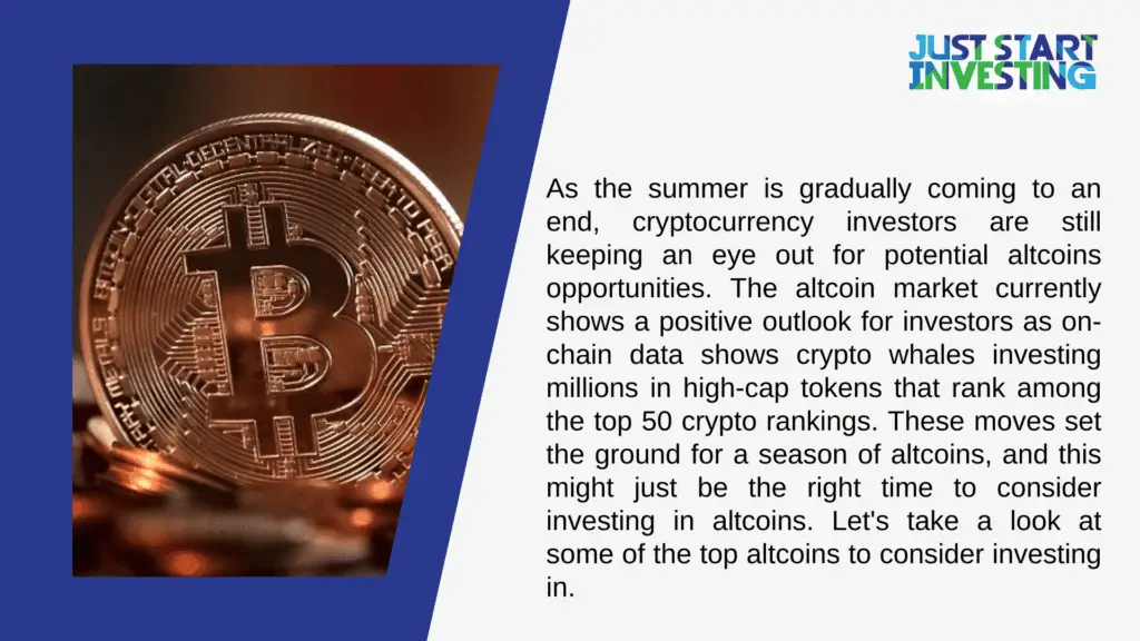 Top Altcoins to Consider Adding to Your Portfolio 1 Altcoins for your portfolio