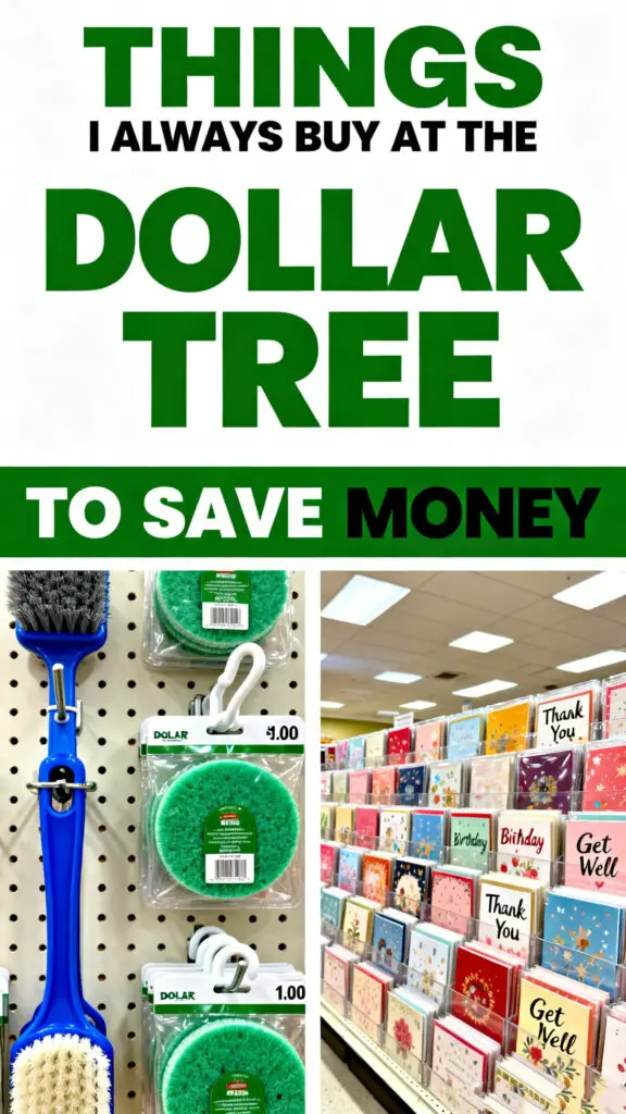 Things I Always Buy at the Dollar Tree to Save Money 1 Things I Always Buy at the Dollar Tree to Save Money